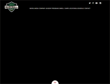 Tablet Screenshot of basicball.com